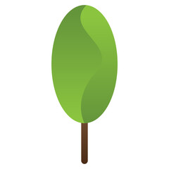 Tree or plant, woods plant and trees.