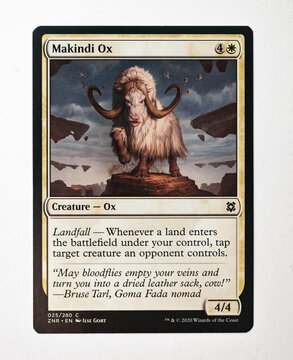 Hamburg, Germany - 05302022: photo of the English Magic The Gathering common card Makindi Ox from the 2020 Zendikar Rising set.