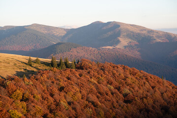 Autumn landscape overlooking the mountain range