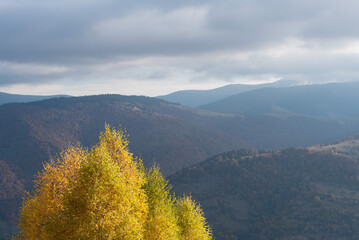 Autumn background with copy space