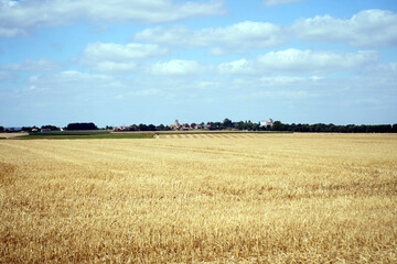 Paysage campagne Ile de France