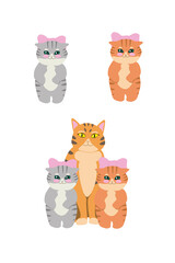set of funny cats