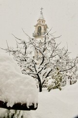 snow, church steeple, branches