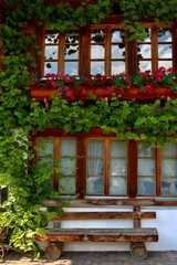 window covered with flowers and green alp style, Switzerland