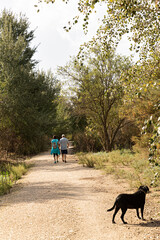 Pareja paseando por el campo.