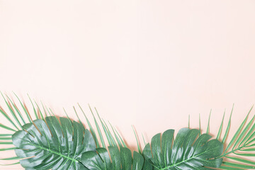 Pink background with palm leaves and monstera