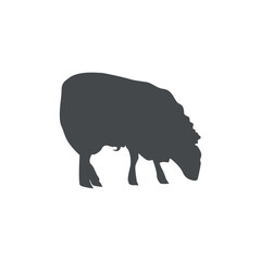 Vector gray silhouette of sheep, farm animal flat design.