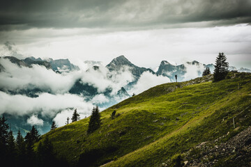 Sunny and cloudy day in Tirol Alps. Beautiful landscape with green trees, meadow, rocks and blue sky with clouds in the mountains. Summer landscape scene from nature, Tirol Alps, Austria