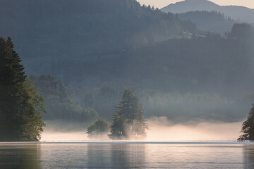 Foggy Morning on the lake