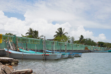 Dock with small boats on it, located in a lagoon in the state of Veracruz, Mexico