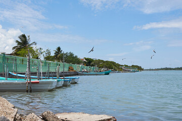 dock on a lagoon in the state of veracruz with some small boats docked