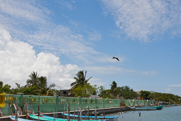 dock on a lagoon in the state of veracruz with some small boats docked
