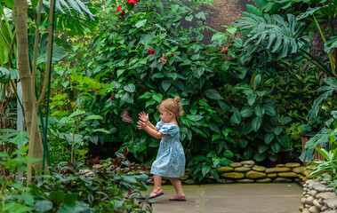 A child catches butterflies in a greenhouse. Selective focus.
