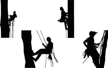 Tree Services vector eps,  Silhouette, Logo, Tree Services vector eps Cut Files for Cricut Design, Tree Services  Digital Commercial Clipart - PNG, EPS