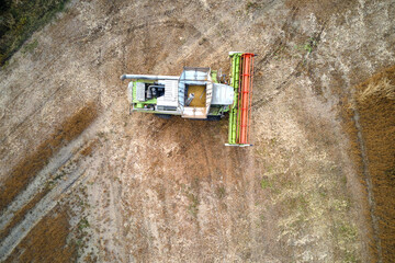 Aerial view of combine harvester working during harvesting season on large ripe wheat field. Agriculture concept