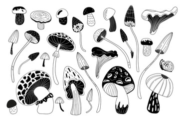 A set of different magic mushrooms. Doodle style.