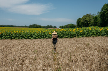 Woman in sunflower field in countryside on sunny day. 