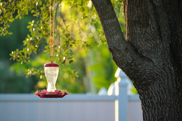 Feeder for birds and squirrels hanging on tree branch in park or backyard. Love and care about...