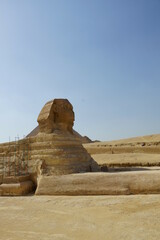 Fototapeta na wymiar The view of Great Sphinx of Giza