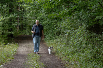 Fototapeta premium man is checking smartphone on a dog walk