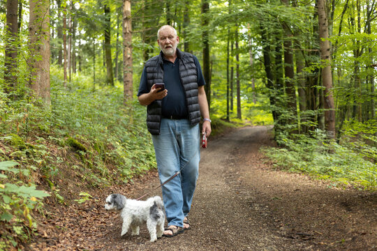 man is checking smartphone on a dog walk