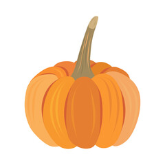 Large round ripe orange pumpkin. Naturalistic drawing of mature pumpkin with brown bent stem. Gourd fruit, vector flat design, icon, harvest symbol, healthy nutrition. Poster, banner, card, sticker