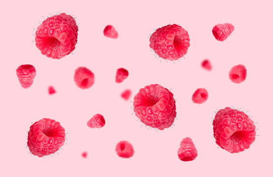 Juicy ripe raspberries on a pink background
