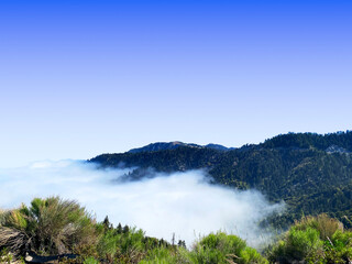 mountains cloudy rolling fog mist sky morning foggy misty mountain range