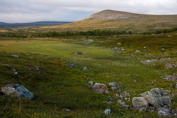 Fototapeta na wymiar Hills and meadows along Kungsleden trail between Hemavan and Ammarnas, Lapland, Sweden