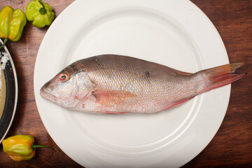 Fresh fish on a plate.