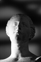 Fototapeta na wymiar statue of david