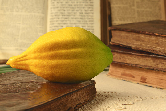 Festival of Sukkot. Book of Leviticus and etrog, symbol of Torah-commanded holiday. Closeup.