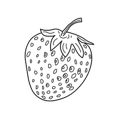 Linear strawberries . hand drawn berries vector. linear strawberries isolated on white background. 