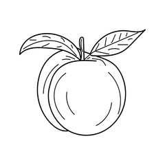 Linear Peach. Hand drawn illustration fruit. Peach  isolated in white background. Hand drawn vegetarian fruit  illustration for menu, label, icon, cover, social post etc