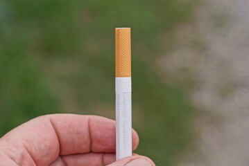 fingers on the hand hold one white cigarette with a brown filter outdoors on a green background