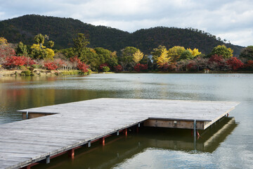 秋の大沢池　池舞台　京都市右京区嵯峨