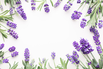 Flowers composition, frame made of lavender flowers on pastel background.