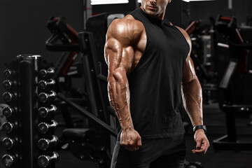 Muscular man in gym, triceps muscles. Strong male