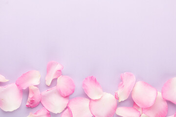 Fototapeta na wymiar Rose flowers petals on pastel background. Valentines day background. Flat lay, top view, copy space.