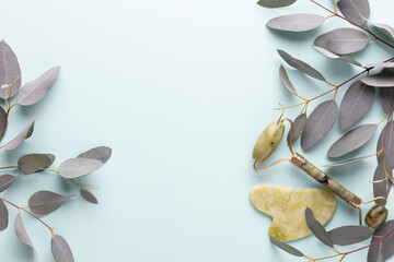 Banner with eucalyptus branches on a blue pastel background. Place for text.