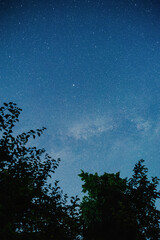 Night starry sky summer outdoors in Ukraine.