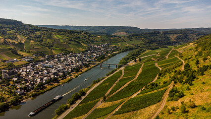 Burg, vallée de la Moselle