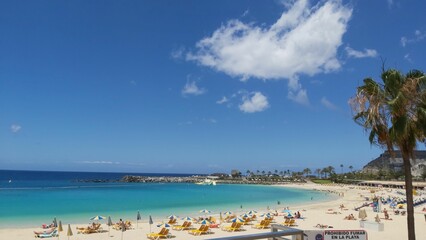 Playa con el cielo azul y despejado