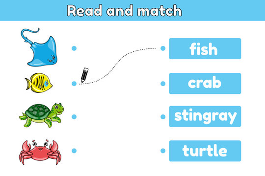 Educational game for children. Find the name of the cartoon sea animals and match the pictures with the names. English language learning. Vector illustration.