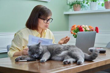Business woman working from home, using laptop, along with pet cat