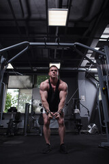 Fototapeta na wymiar Vertical full length shot of a bodybuilder focusing, training in cable crossover at gym