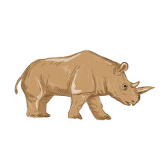 Fototapeta na wymiar Northern White Rhinoceros Side Drawing