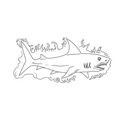 Shark Water Side Drawing