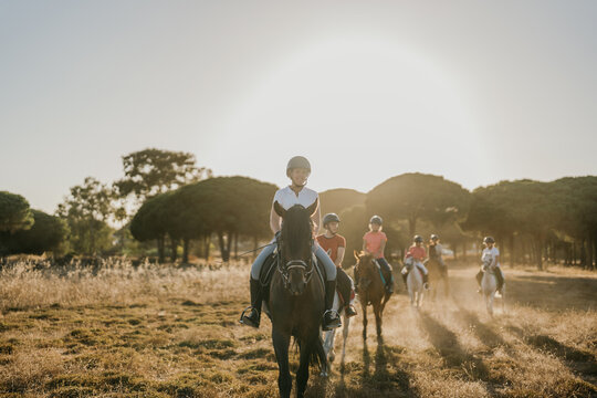 Backlit photo of a group of riders riding horses in a pine forest