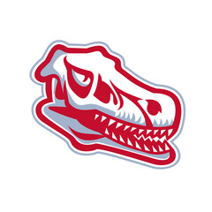 Velociraptor Raptor Skull